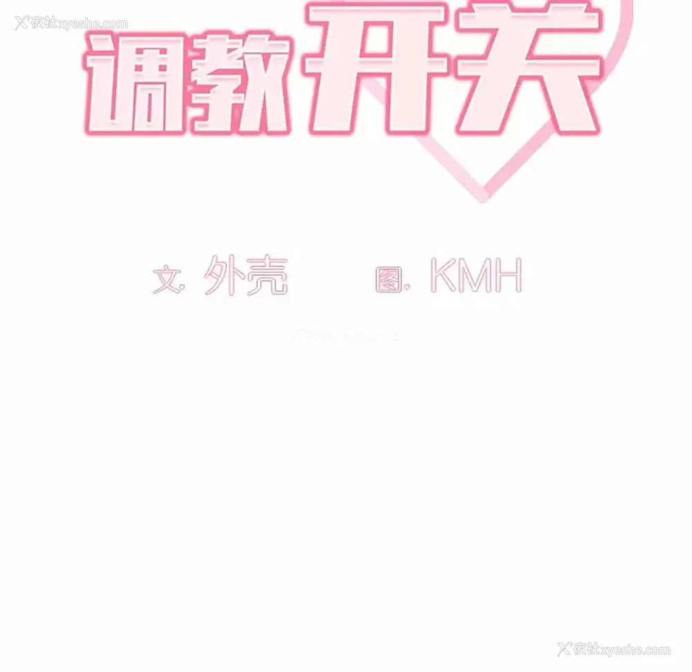 40P - 调教开关