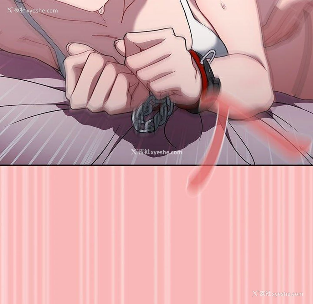 91P - 调教开关