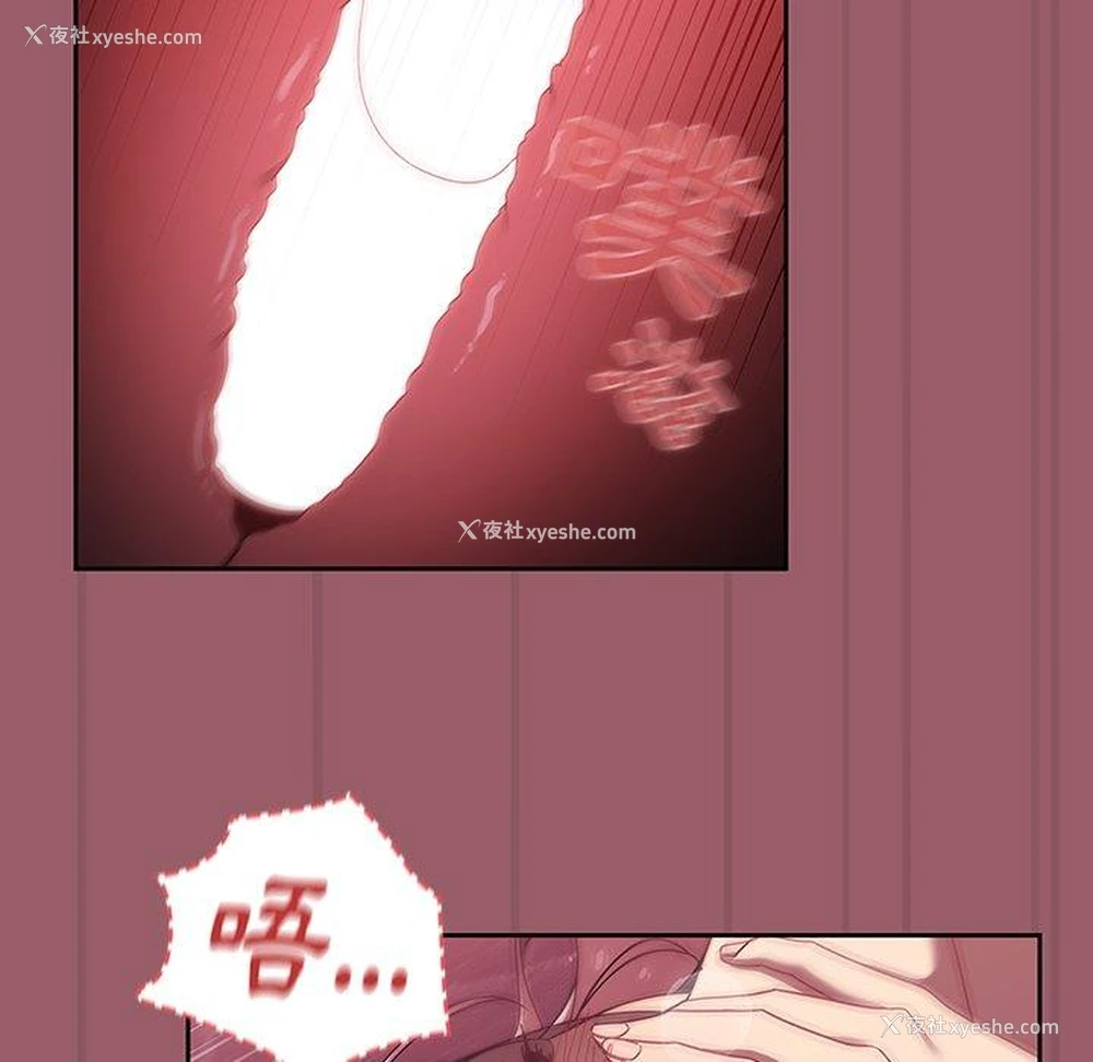 91P - 调教开关