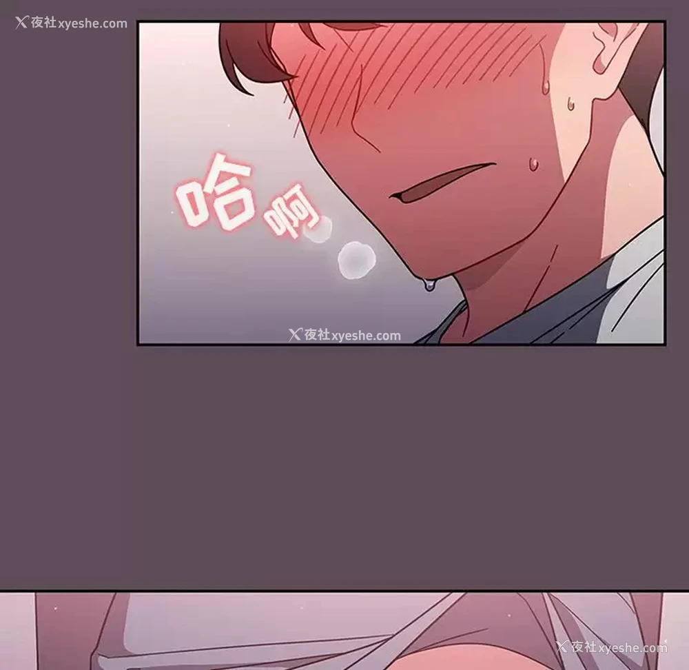 15P - 调教开关
