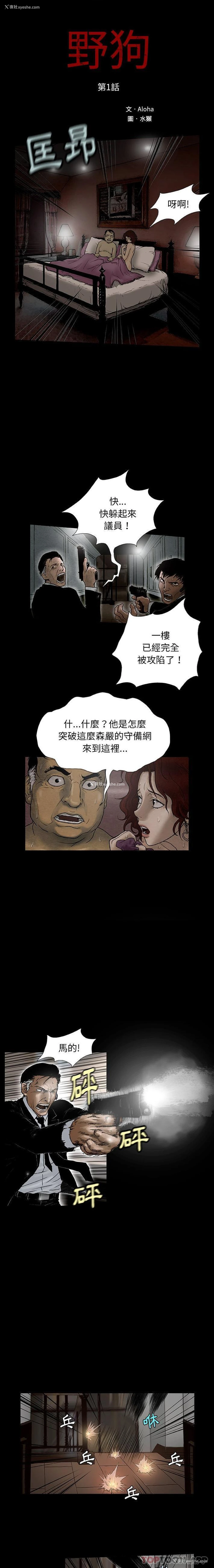 2P - 野狗