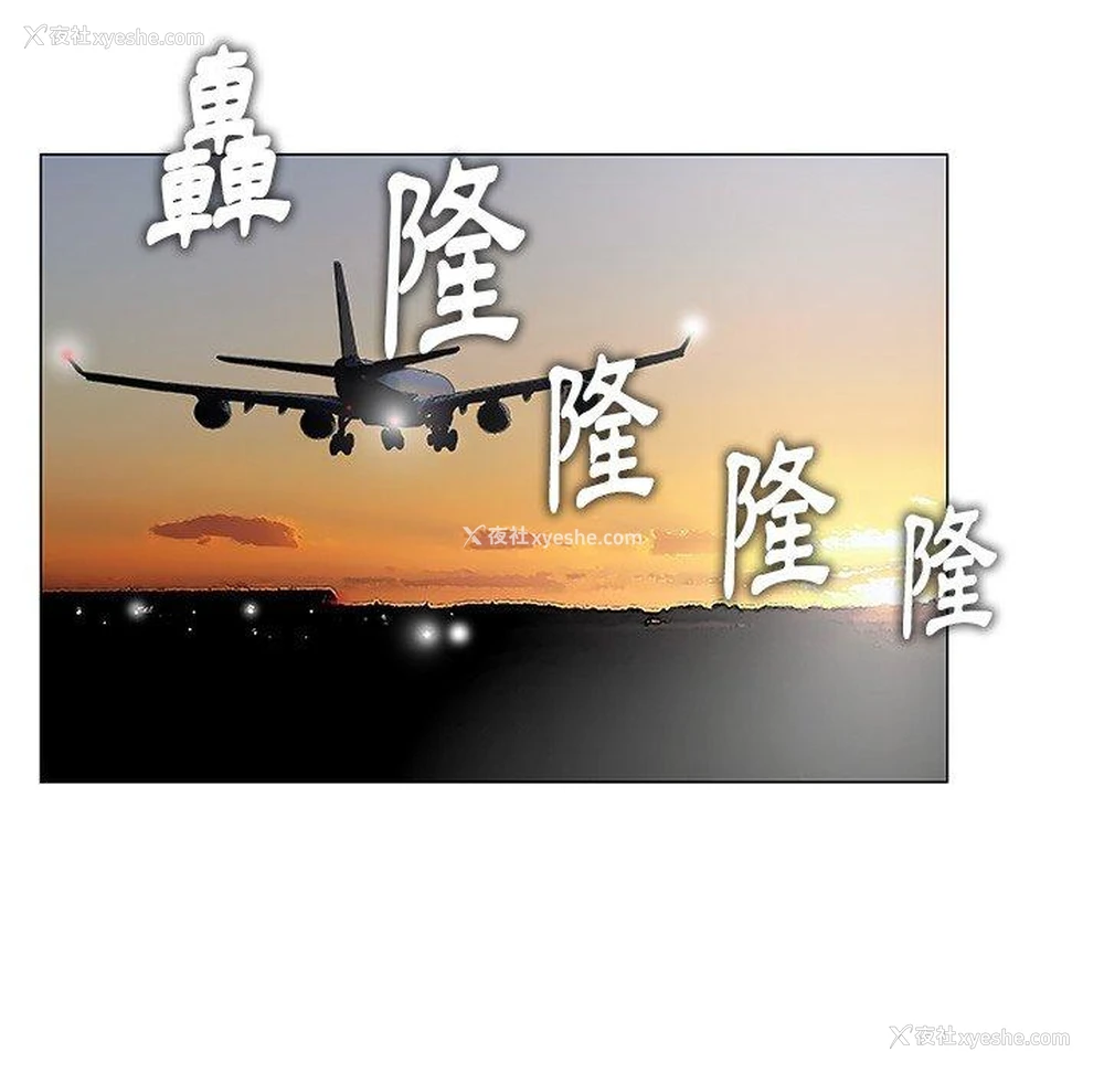 114P - 野狗