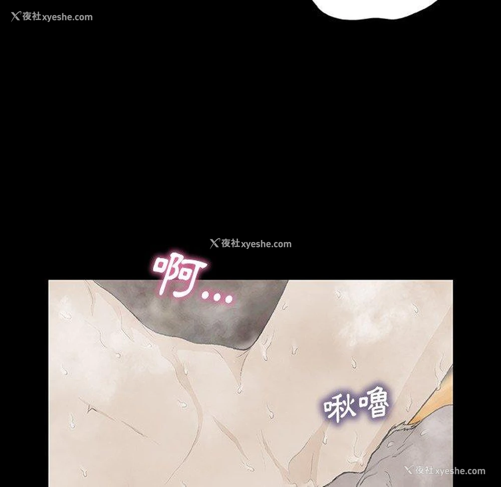 36P - 野狗