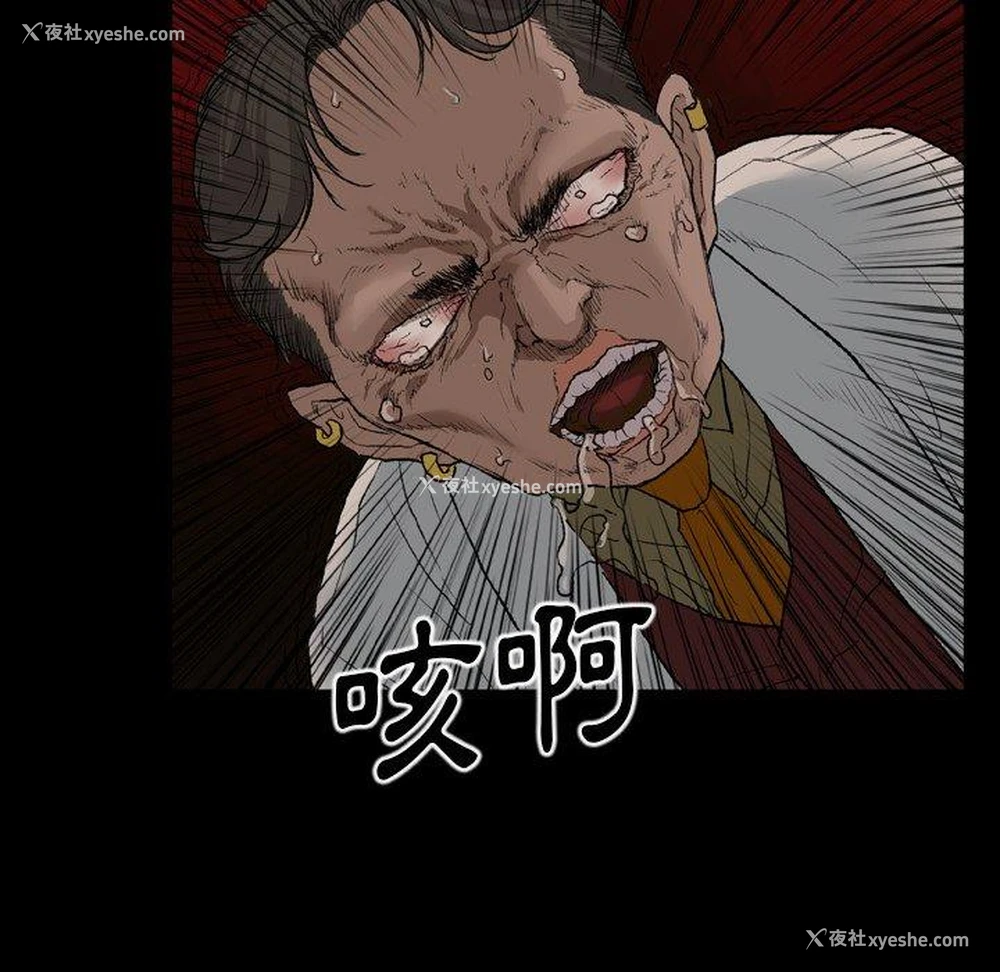 28P - 野狗