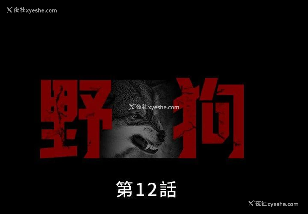 2P - 野狗
