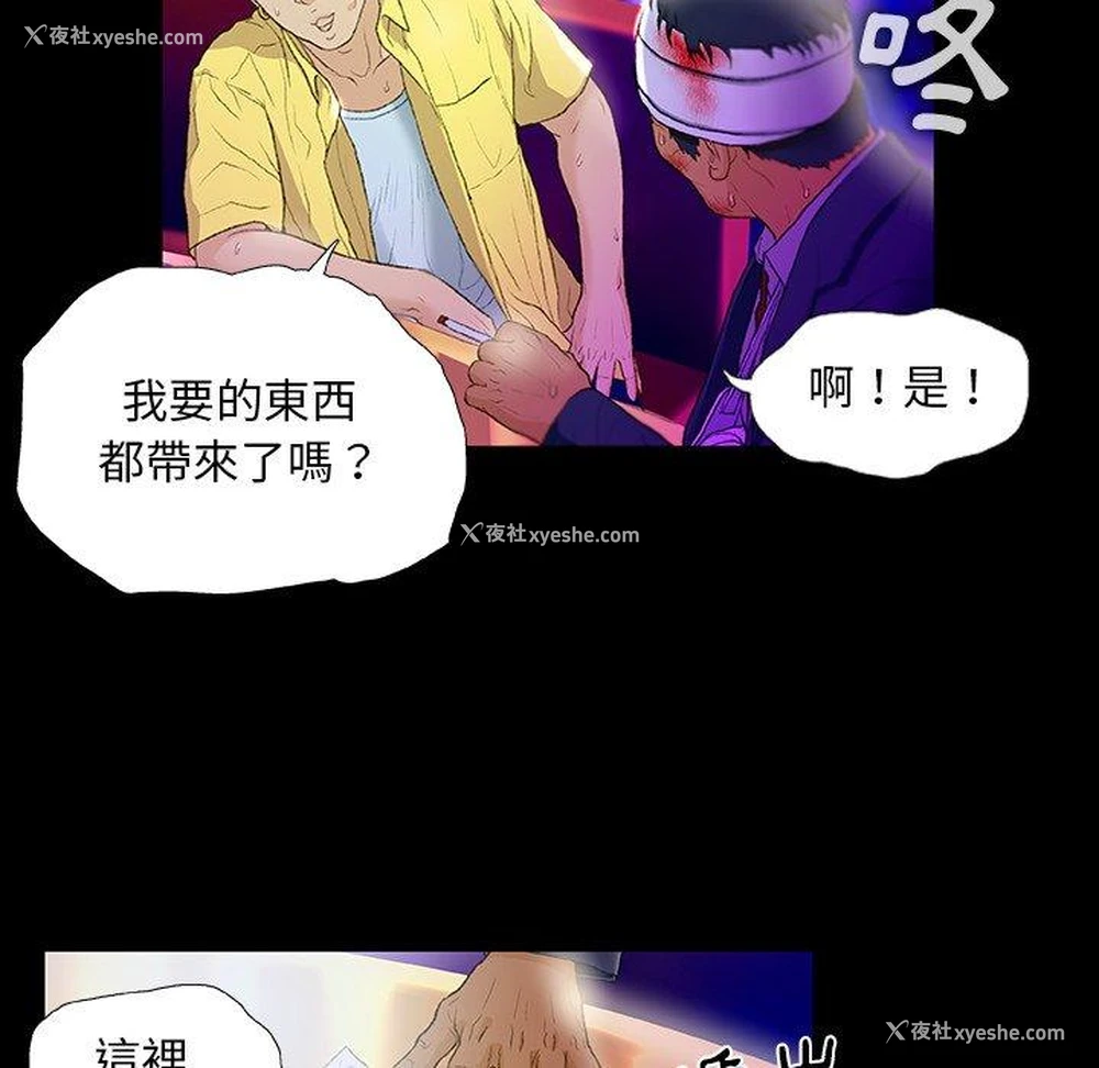 36P - 野狗