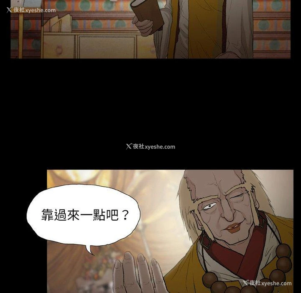 12P - 野狗