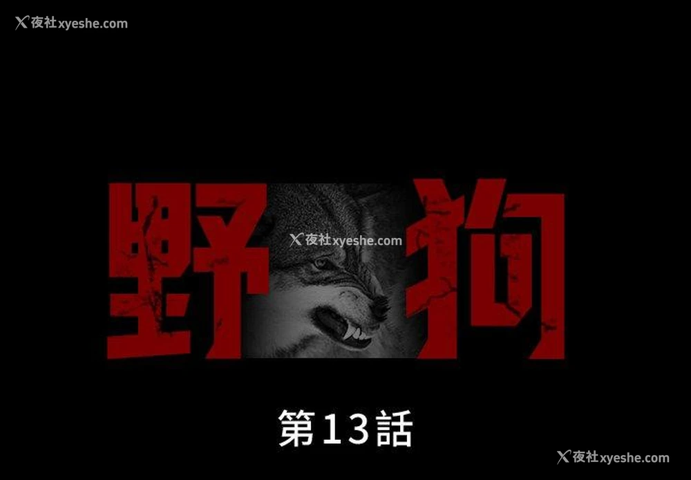 1P - 野狗