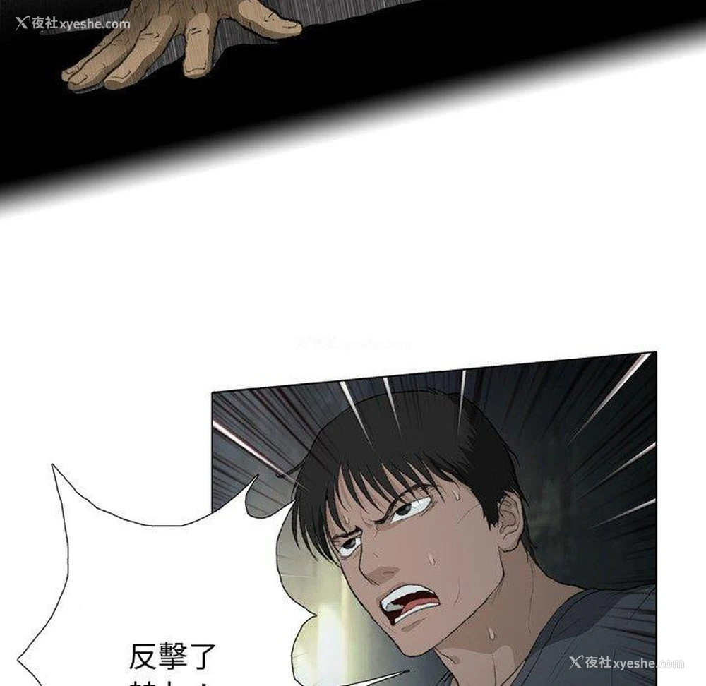 28P - 野狗