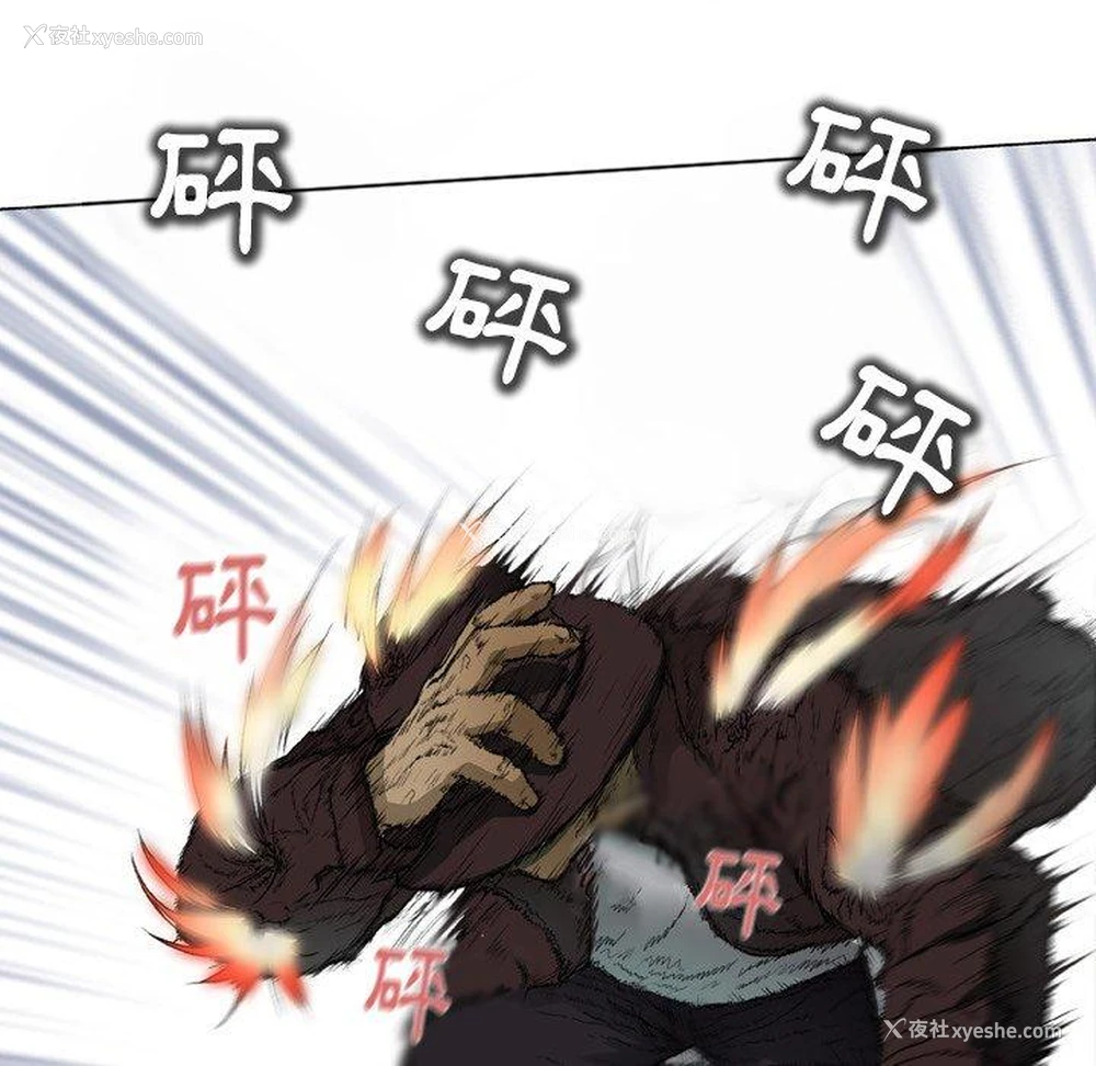 31P - 野狗