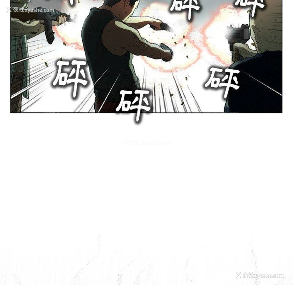 33P - 野狗