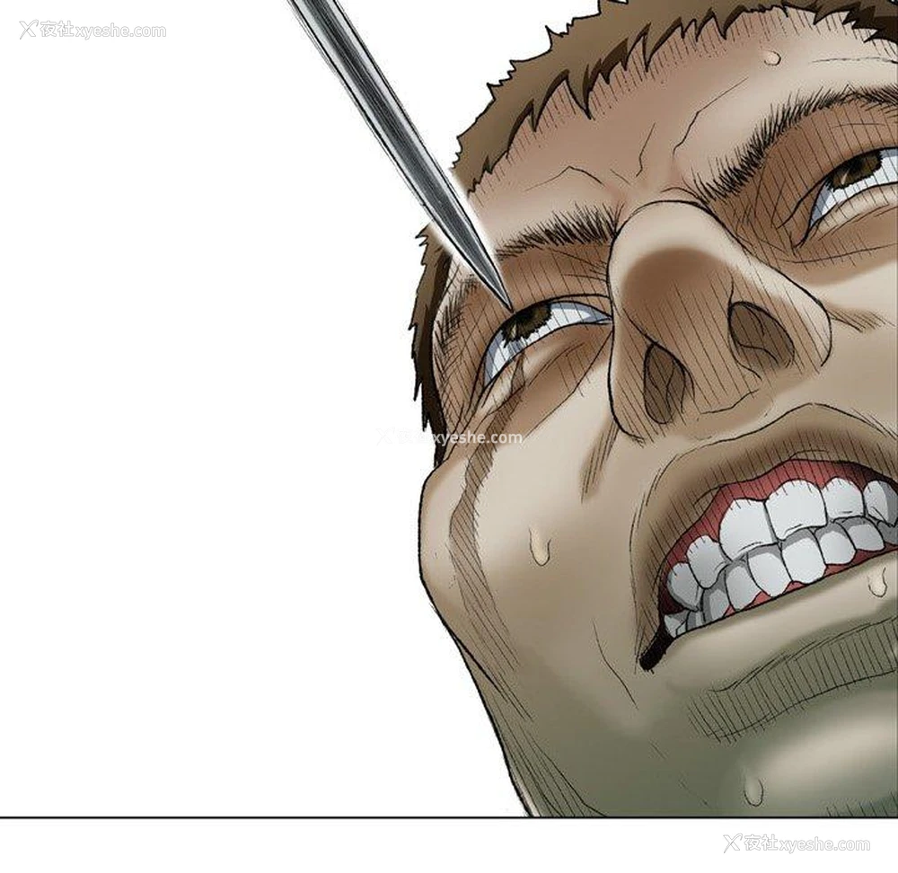 43P - 野狗