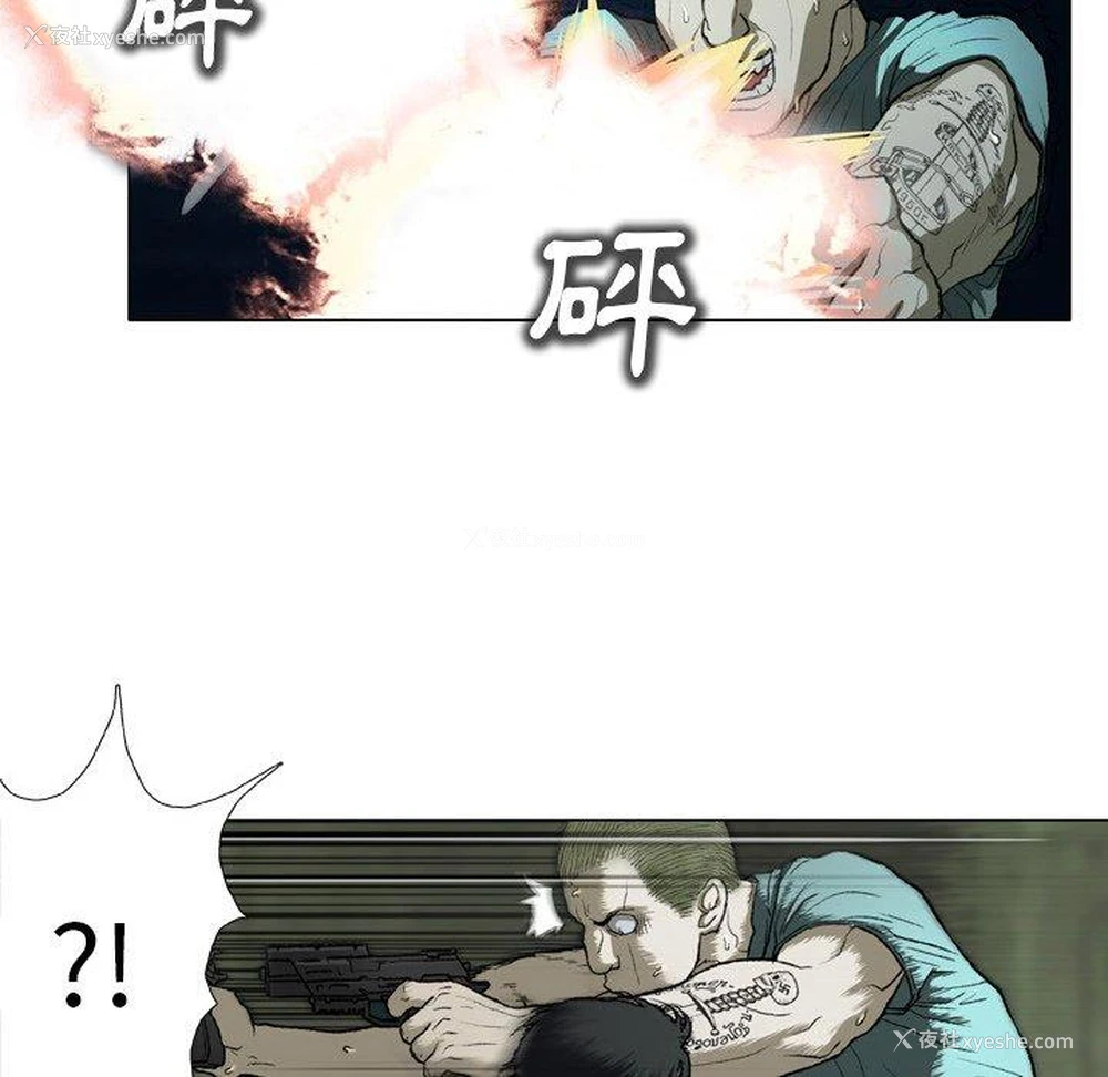64P - 野狗