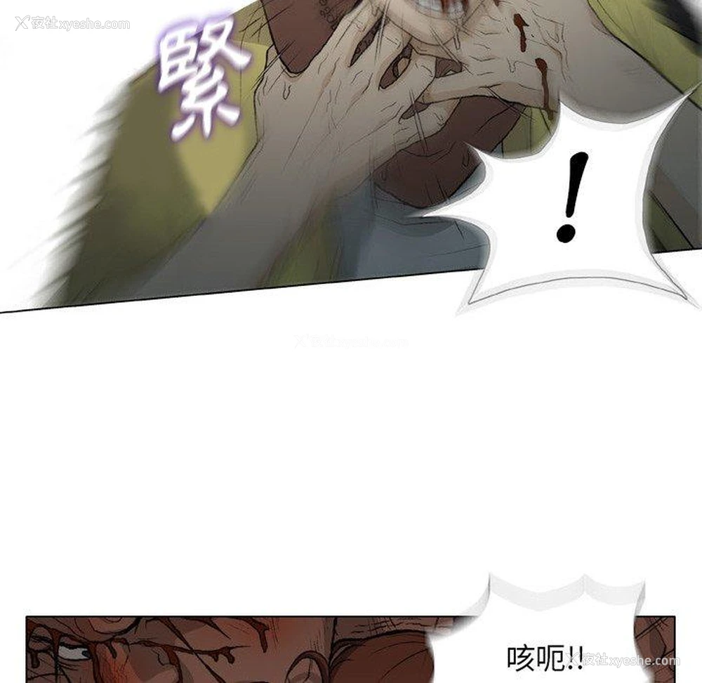 8P - 野狗