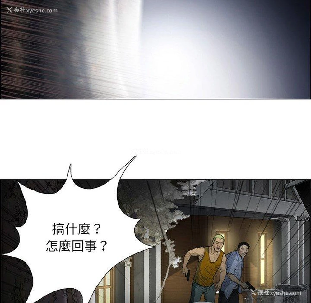 43P - 野狗