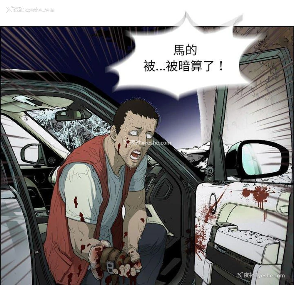 45P - 野狗