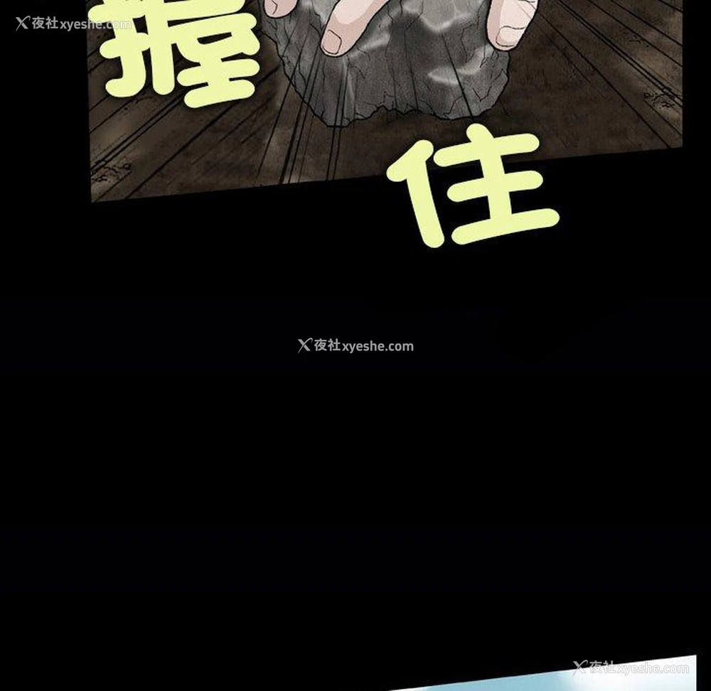 45P - 野狗