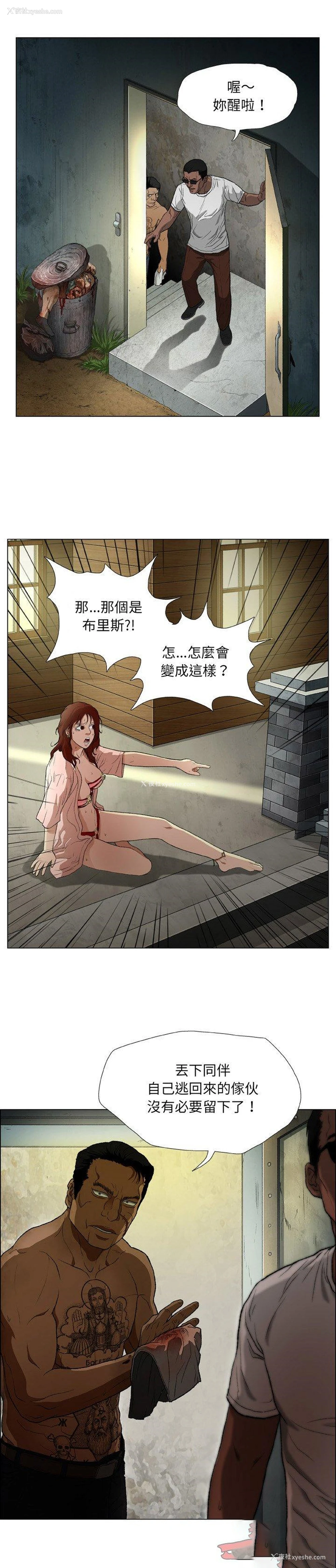 22P - 野狗