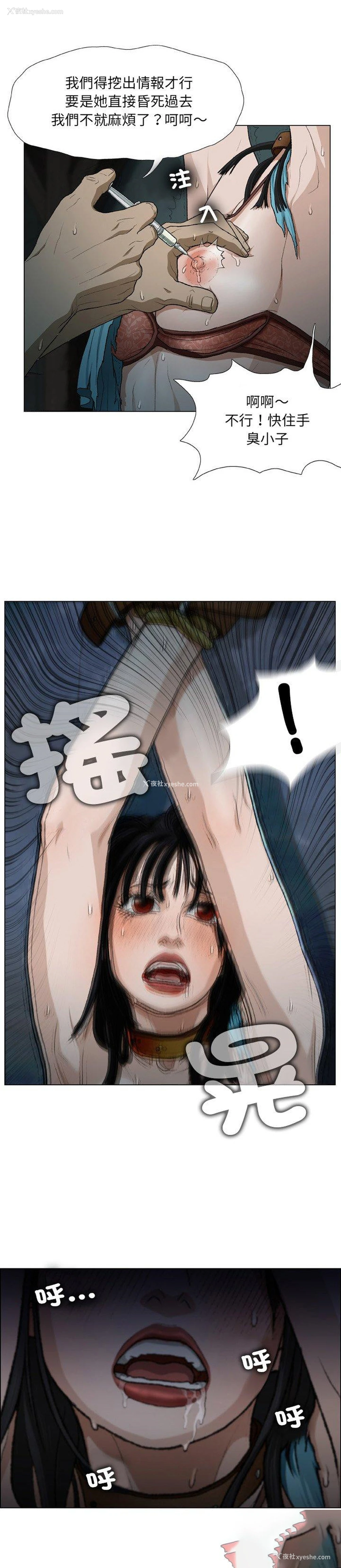 26P - 野狗