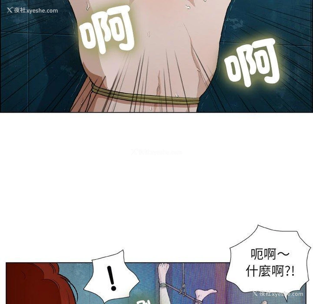 12P - 野狗