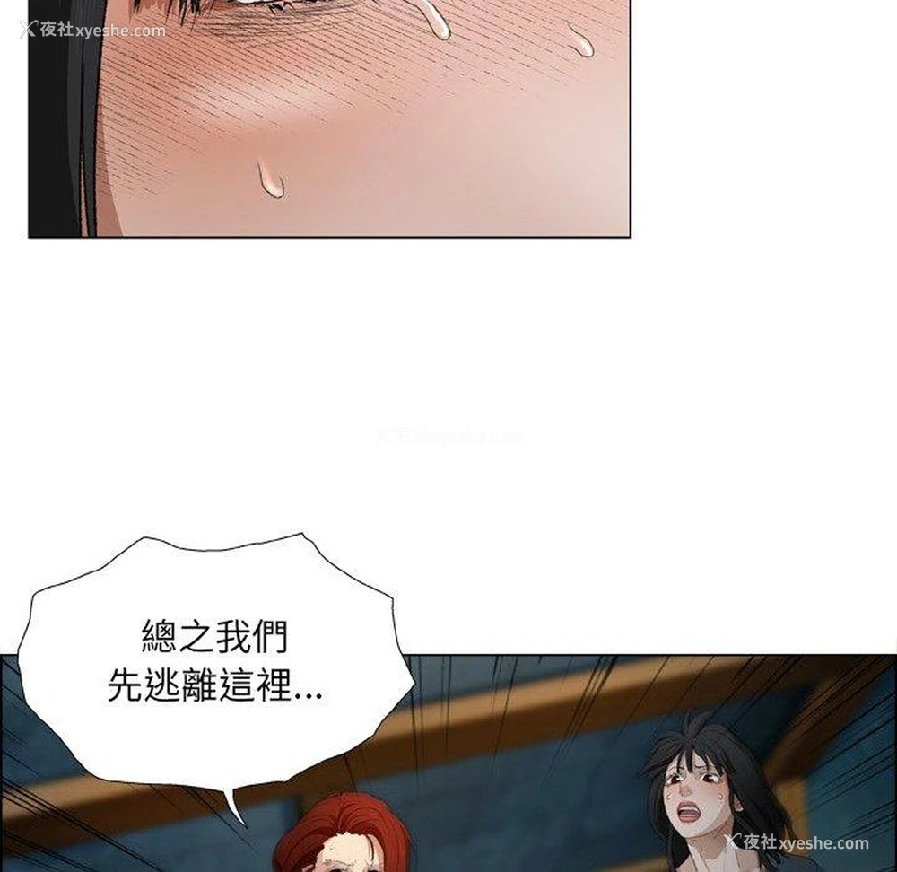 71P - 野狗