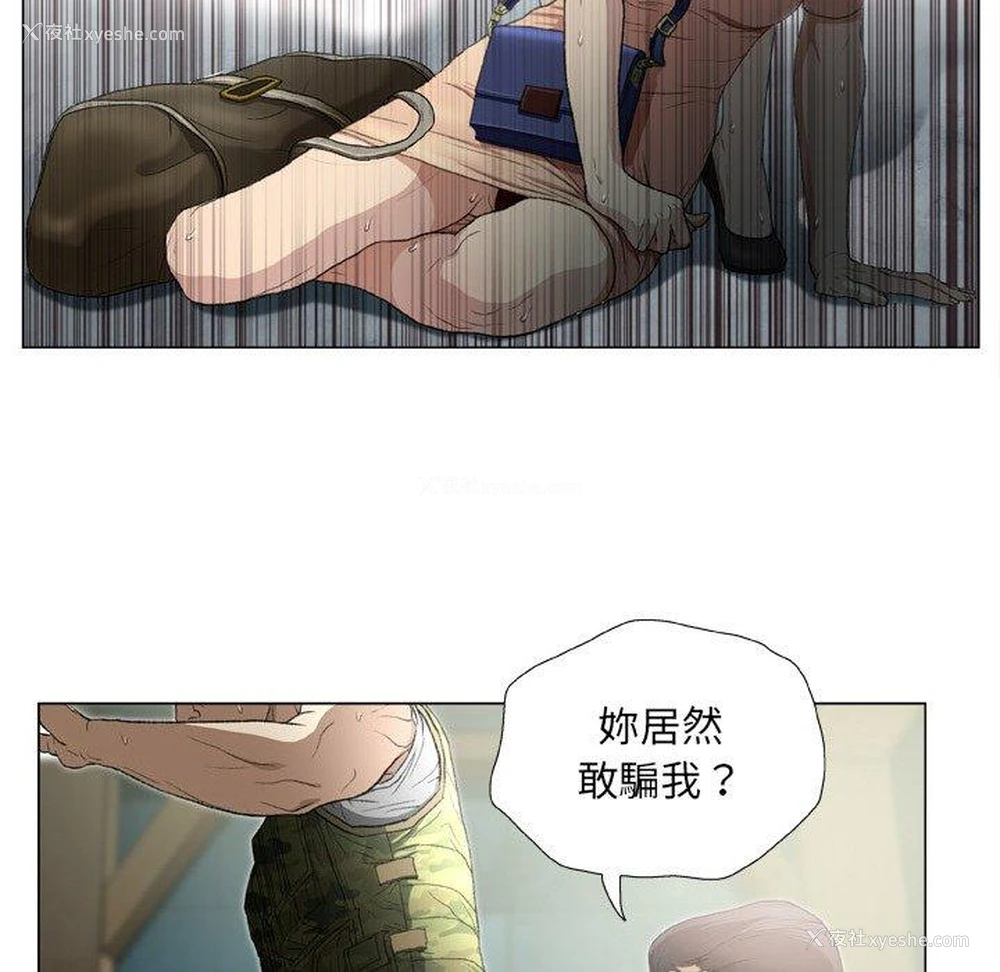 76P - 野狗