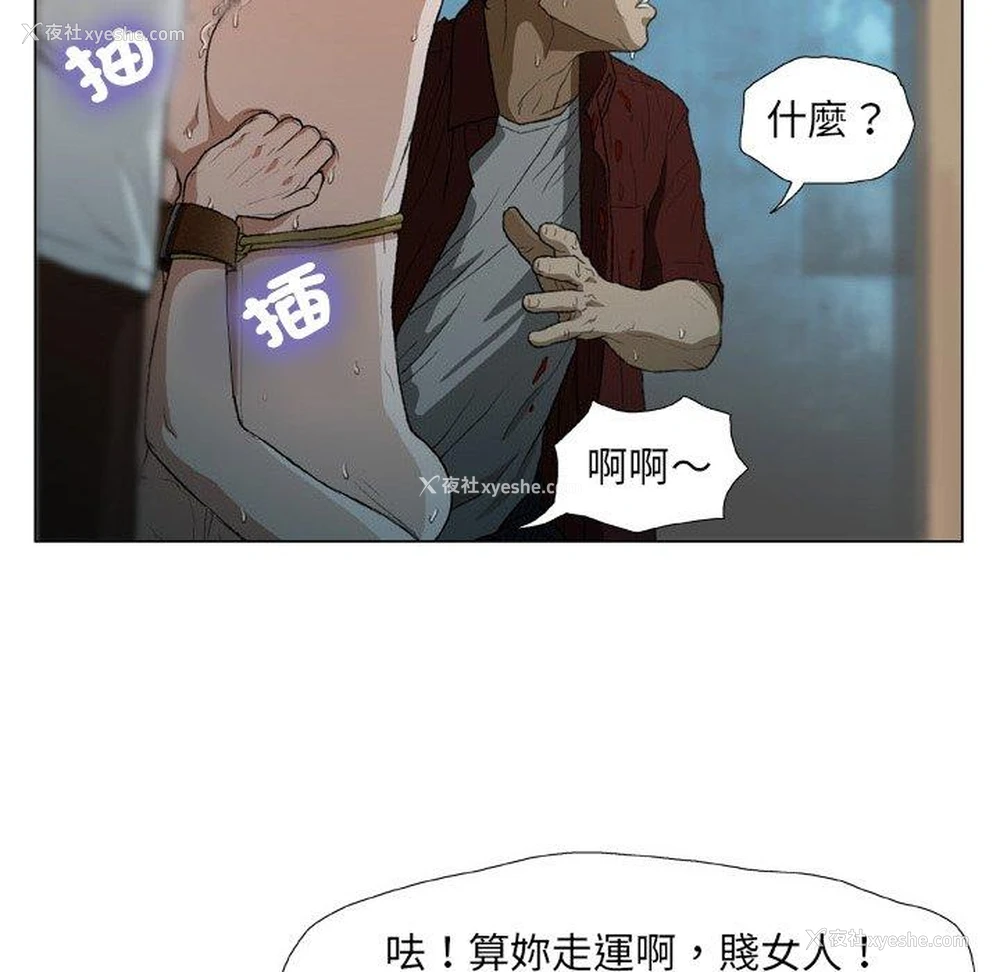8P - 野狗