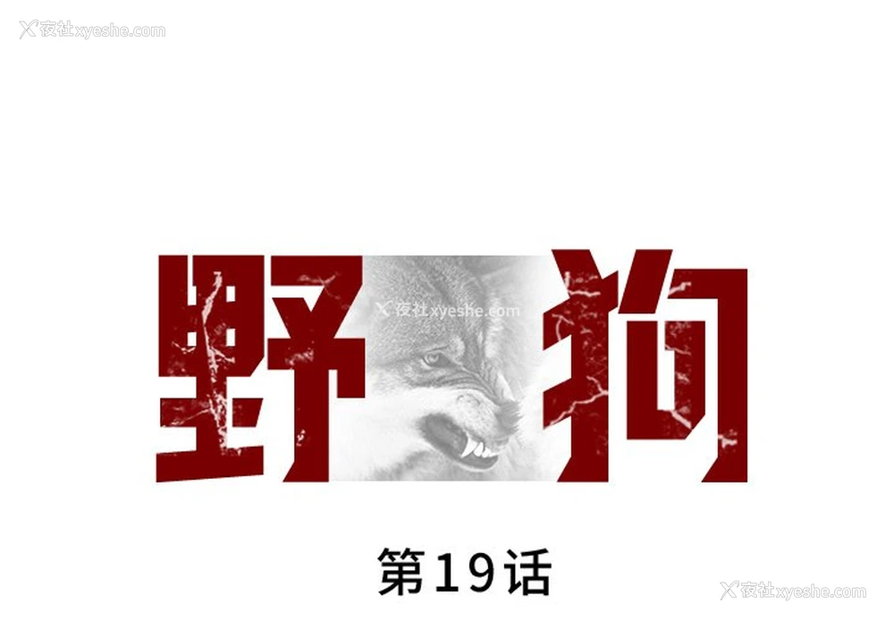 1P - 野狗