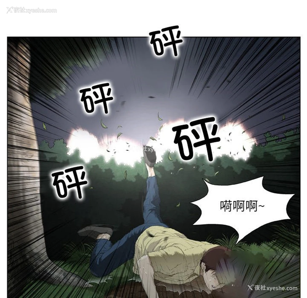 25P - 野狗