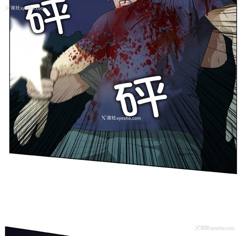 49P - 野狗