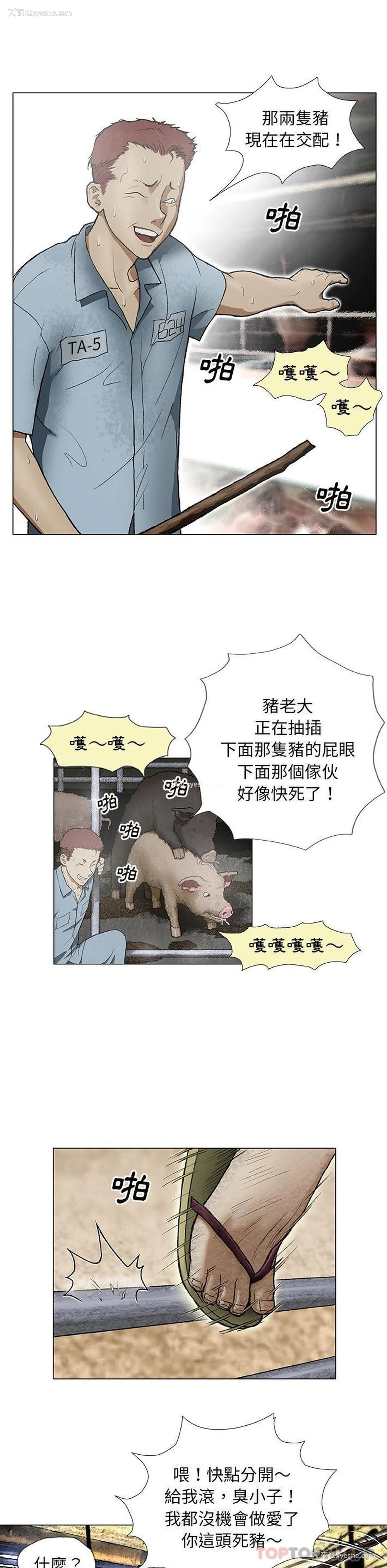 3P - 野狗