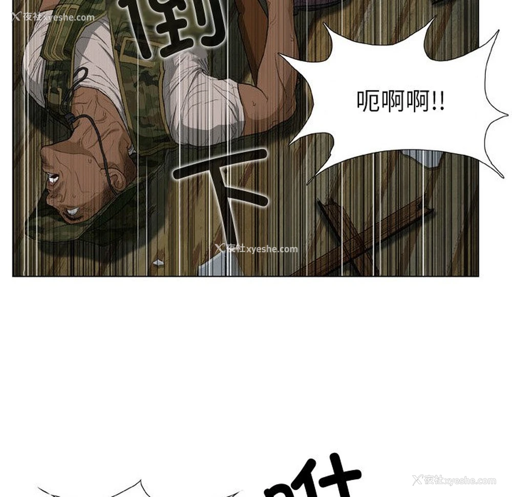 31P - 野狗