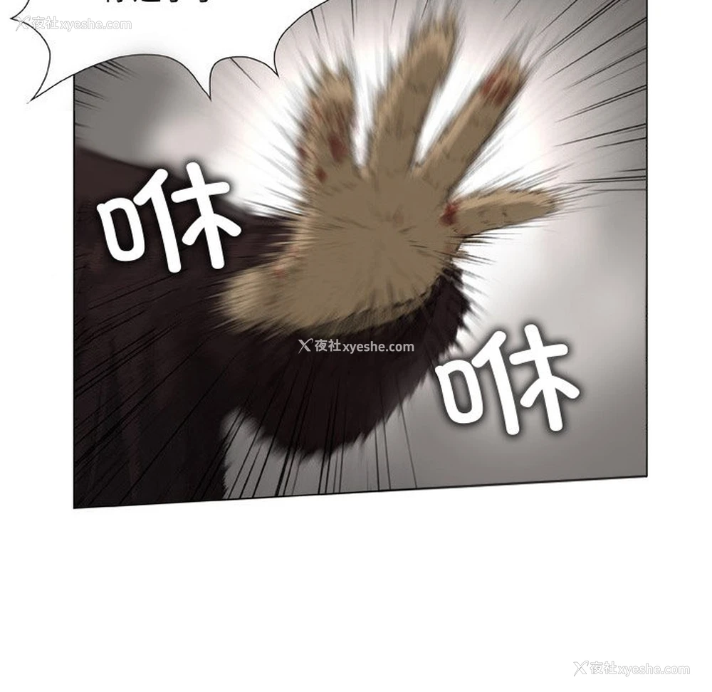 40P - 野狗