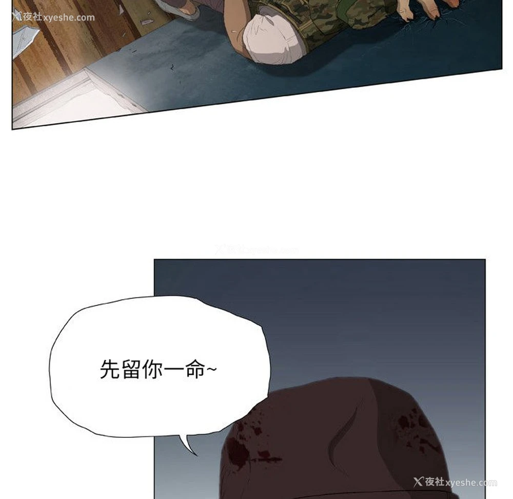 43P - 野狗