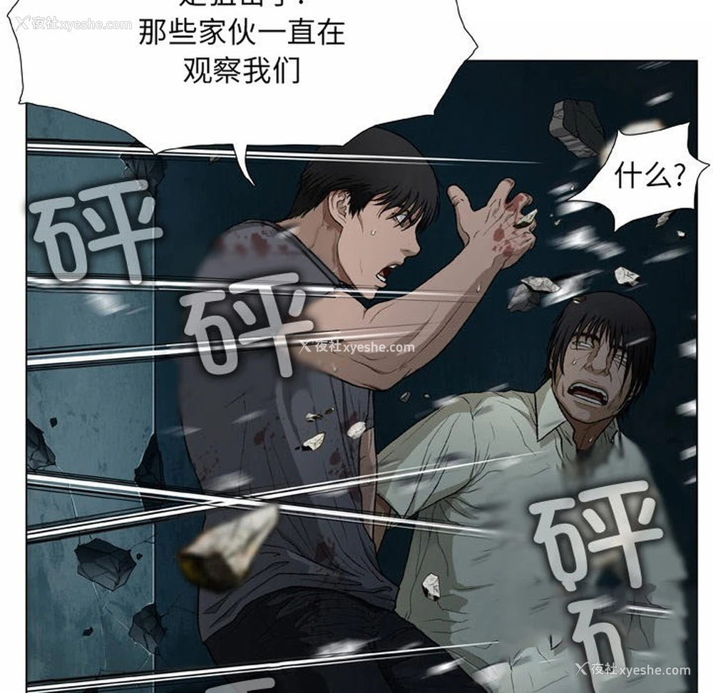 72P - 野狗