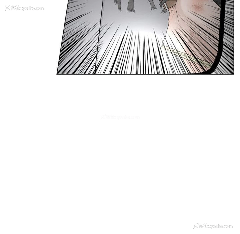 100P - 野狗