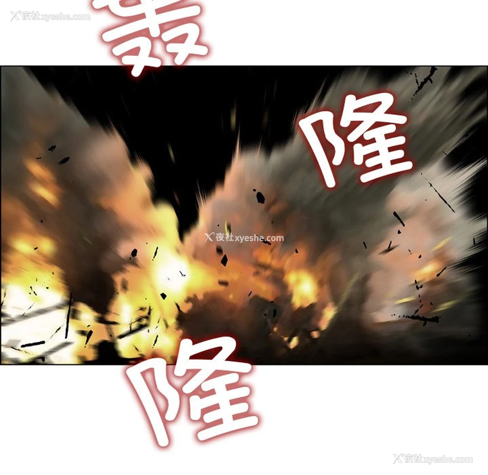 11P - 野狗