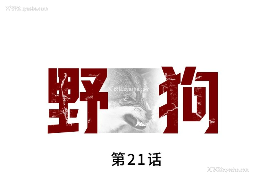 1P - 野狗