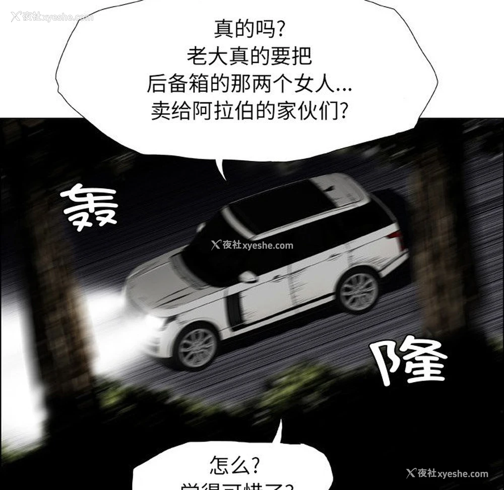 31P - 野狗