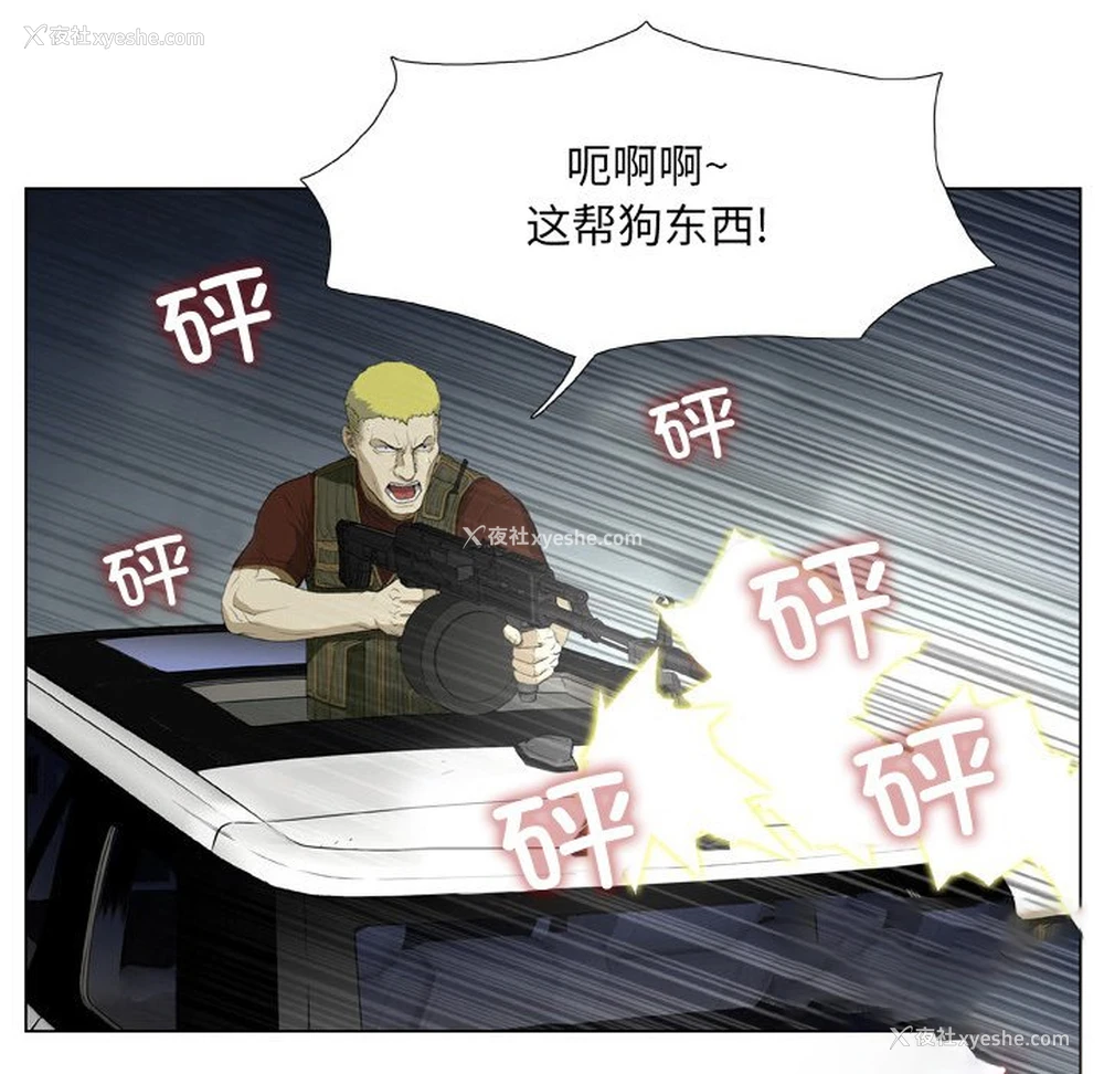 41P - 野狗