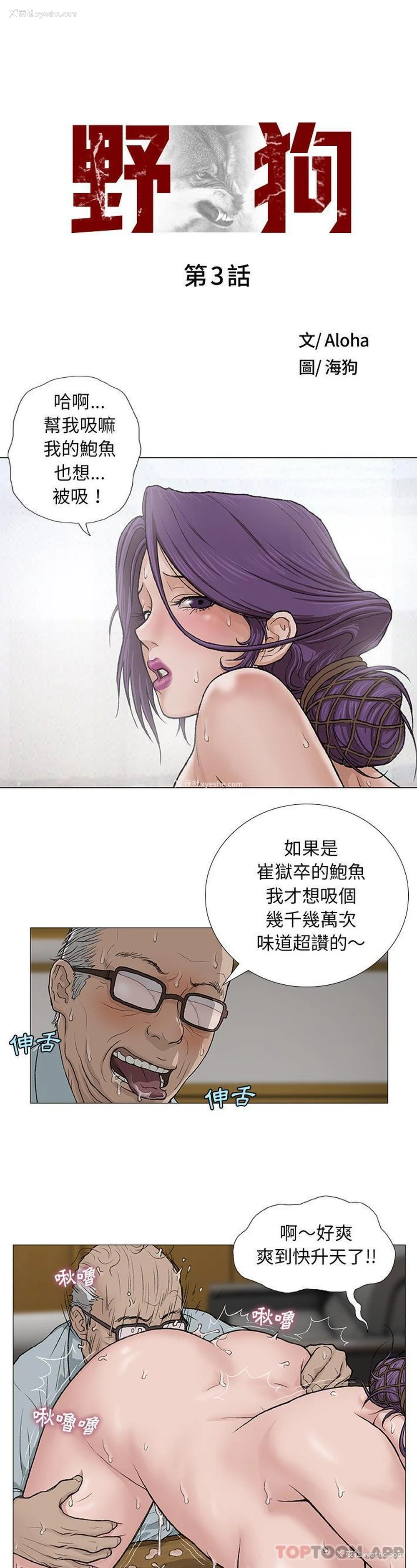 1P - 野狗
