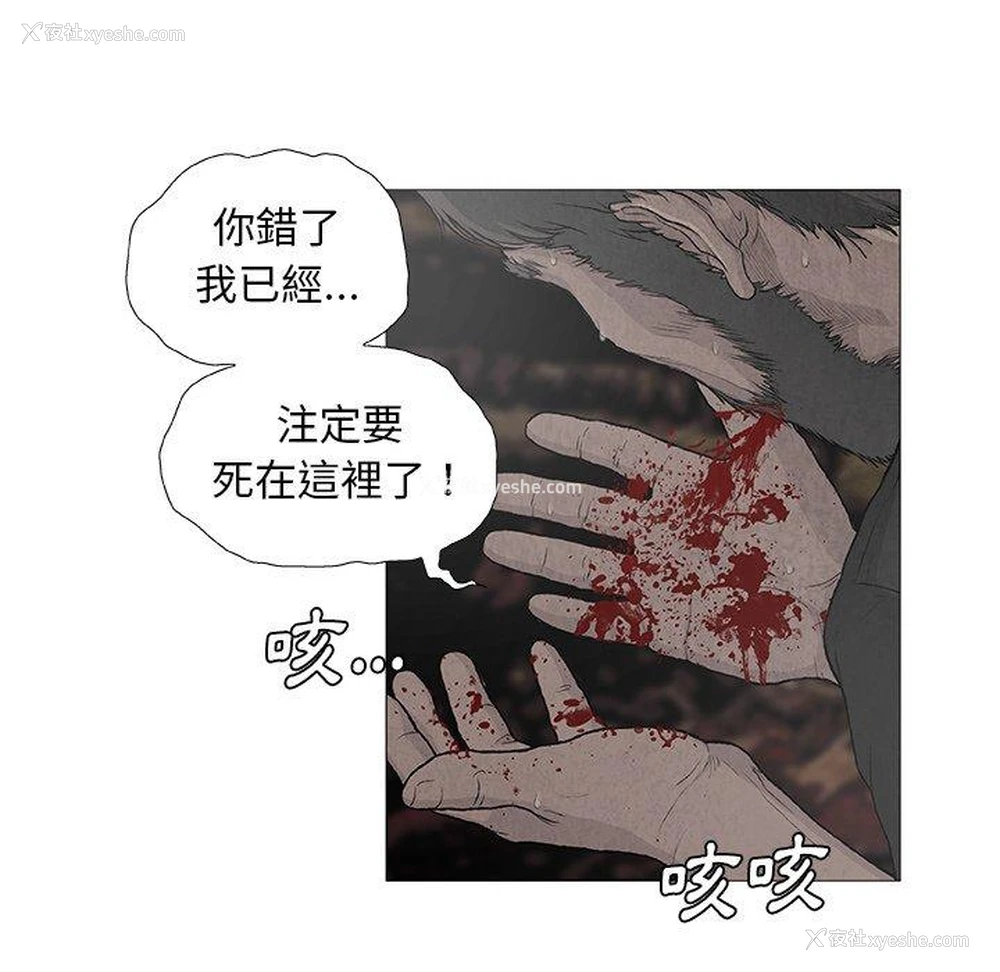 17P - 野狗