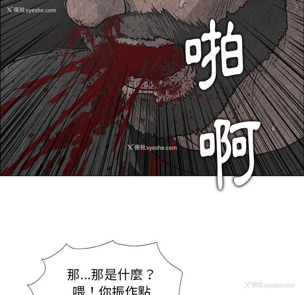 27P - 野狗