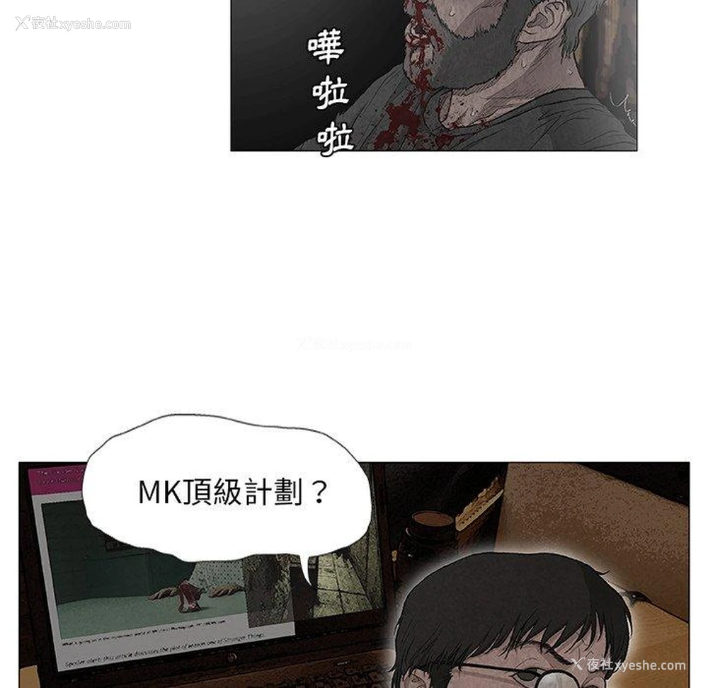 31P - 野狗