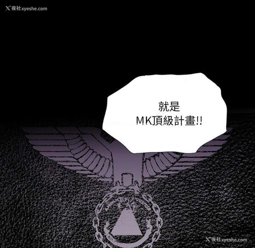 41P - 野狗