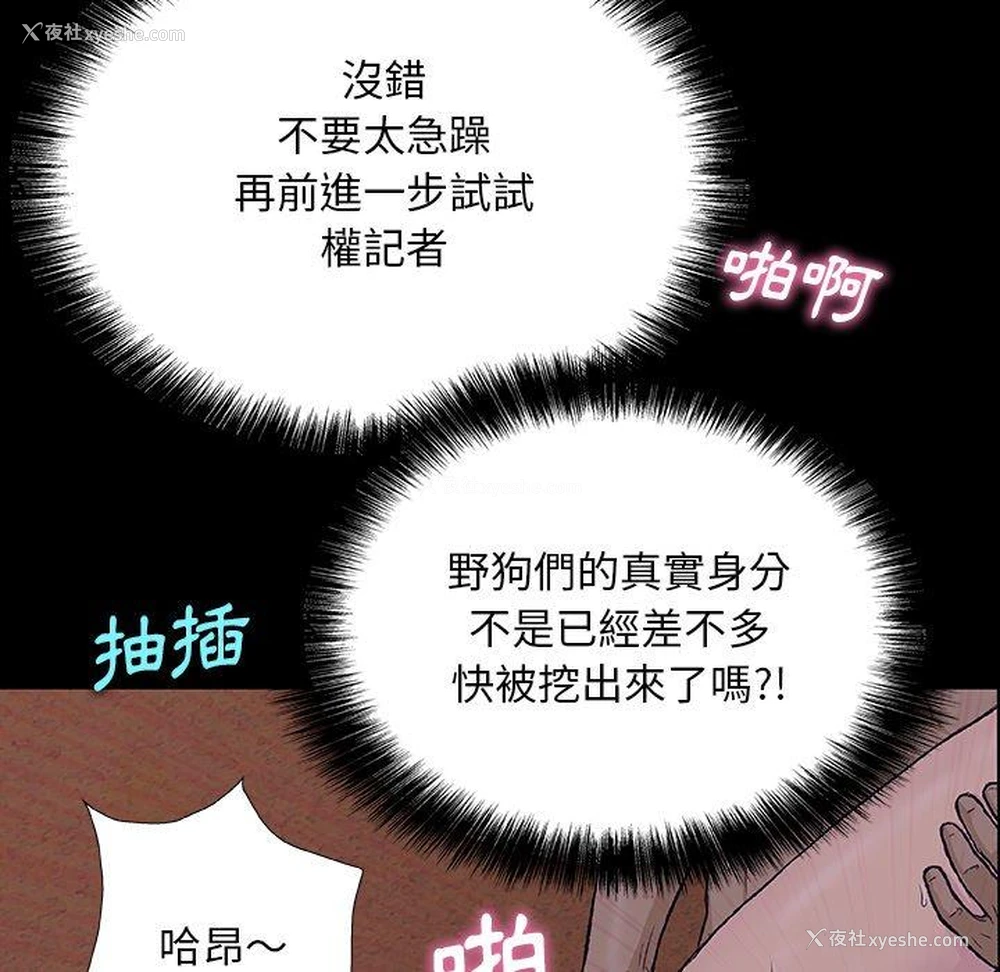 90P - 野狗