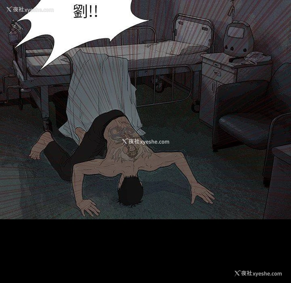 33P - 野狗