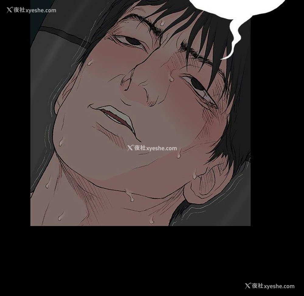 41P - 野狗