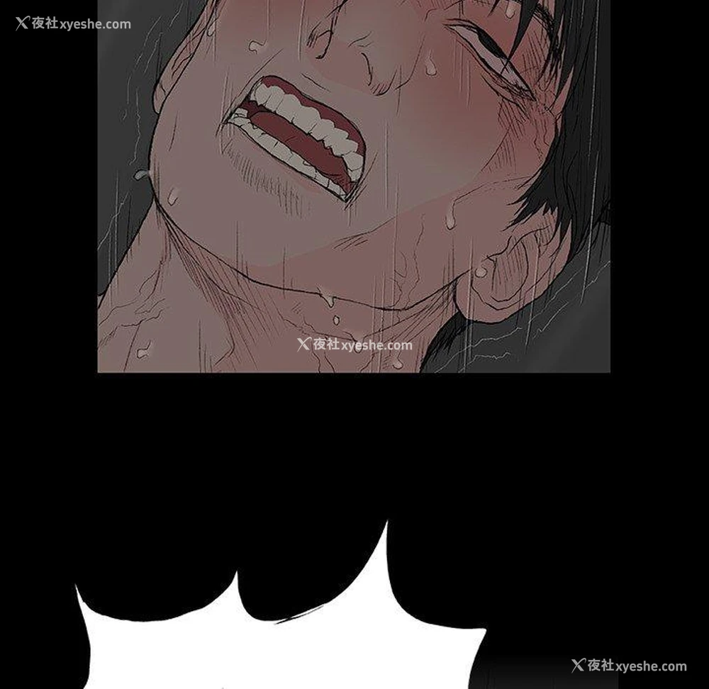 44P - 野狗