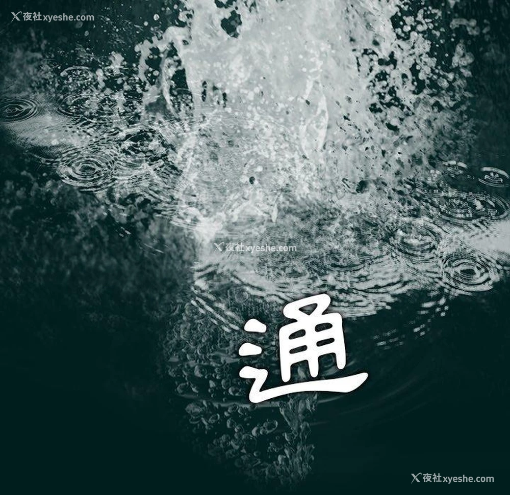 53P - 野狗